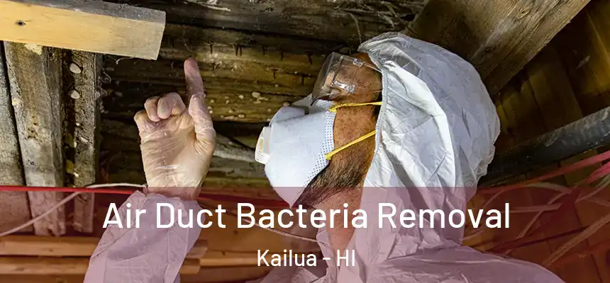  Air Duct Bacteria Removal Kailua - HI