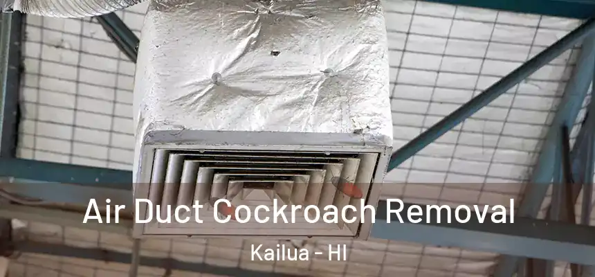  Air Duct Cockroach Removal Kailua - HI