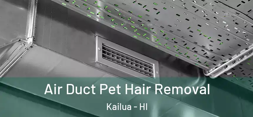  Air Duct Pet Hair Removal Kailua - HI
