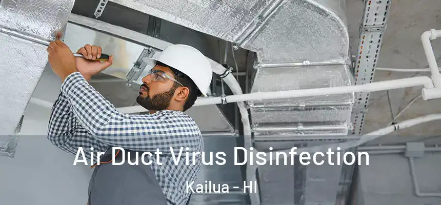  Air Duct Virus Disinfection Kailua - HI