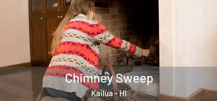  Chimney Sweep Kailua - HI