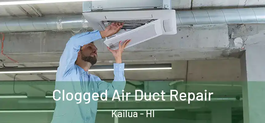  Clogged Air Duct Repair Kailua - HI