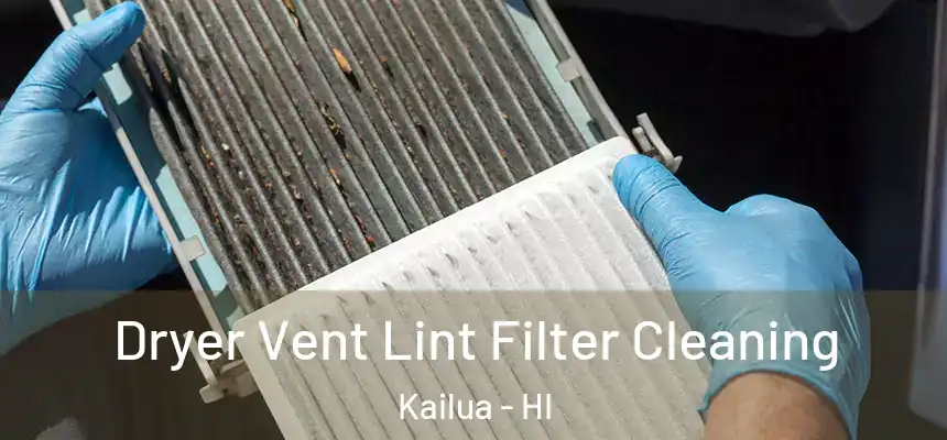  Dryer Vent Lint Filter Cleaning Kailua - HI