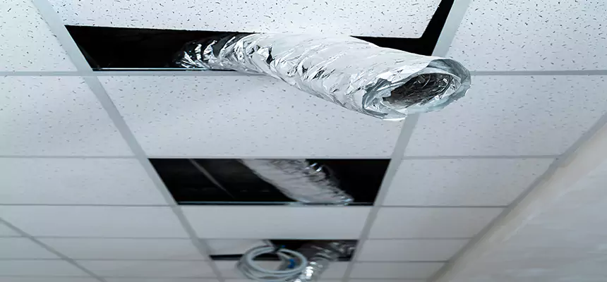 Affordable HVAC Sanitizing After Pest Removal in Kailua