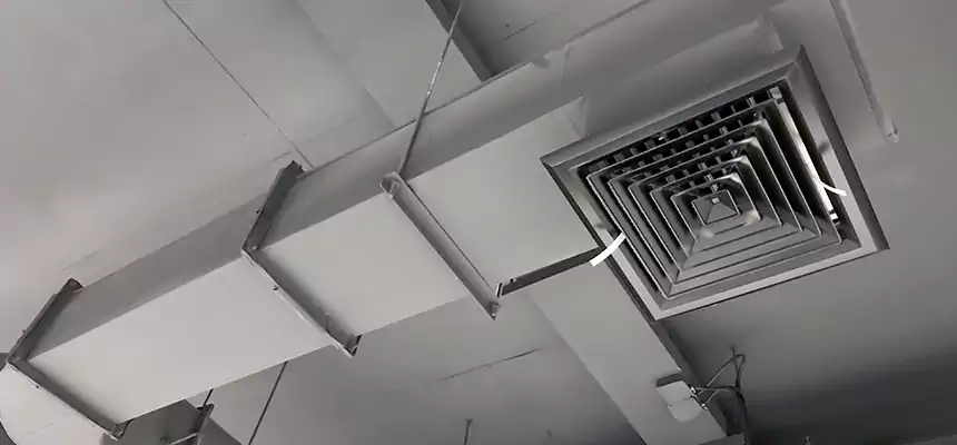 Our Pest Removal From Ducts Services in Kailua, HI