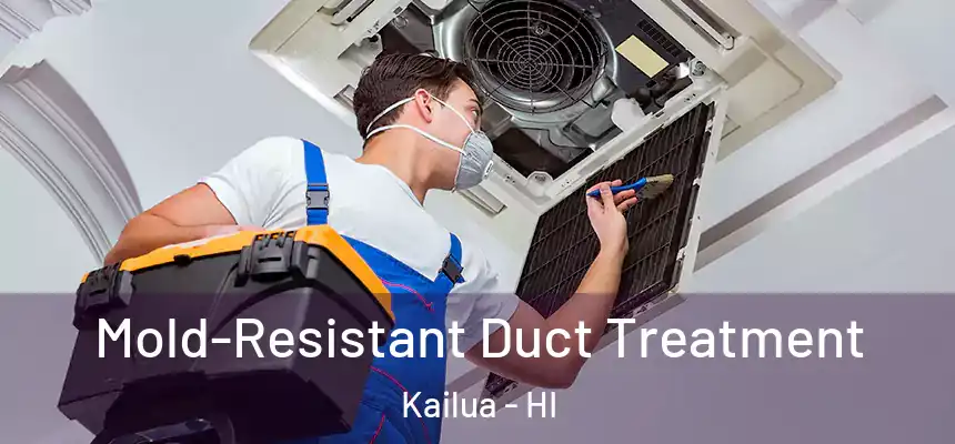  Mold-Resistant Duct Treatment Kailua - HI