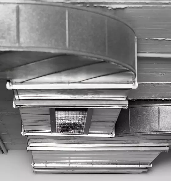 Professional Air Duct Pest Removal in Kailua, HI