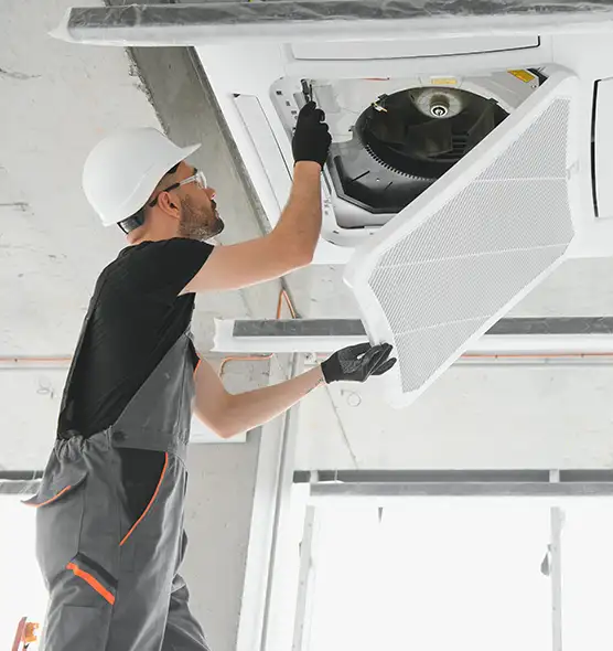 About Air Duct Rodent Removal in Kailua, HI