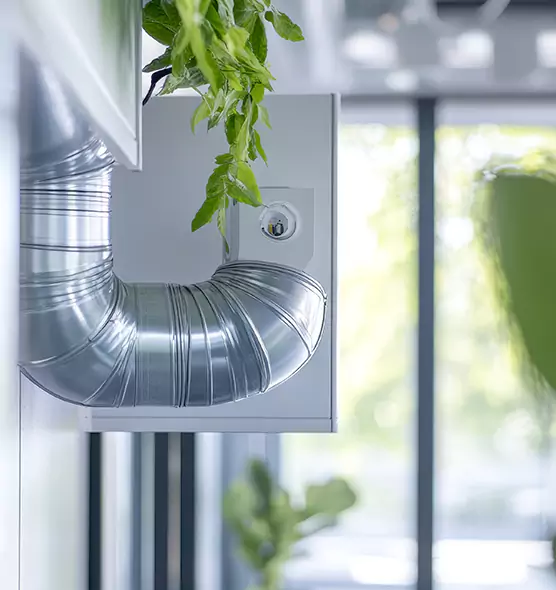 Professional Eco-Friendly Duct Cleaning Services in Kailua, HI