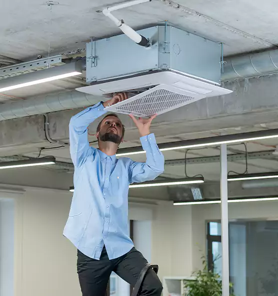 Advanced Rodent Droppings In Vents in Kailua, HI