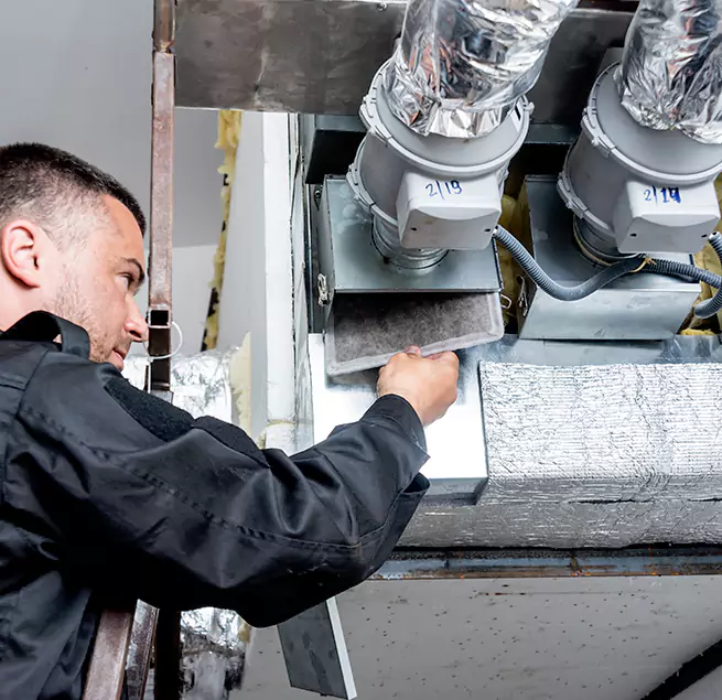 Why Homeowners & Businesses Trust Us in Kailua, HI?