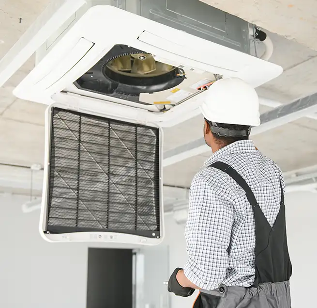 Why Homeowners & Businesses Trust Us in Kailua, HI?