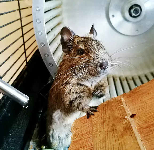 Why Homeowners & Businesses Trust Us Kailua, HI