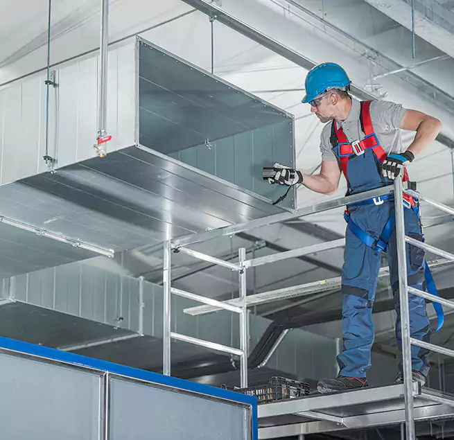 Why Homeowners & Businesses Trust Us in Kailua, HI?