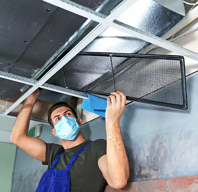 Why Homeowners Businesses Trust Us in Kailua, HI