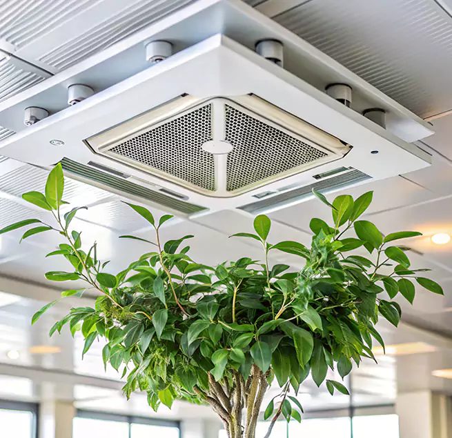 Why Homeowners & Businesses Trust Us in Kailua, HI