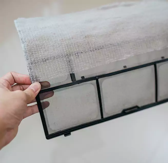 Why Homeowners & Businesses Trust Us in Kailua, HI?