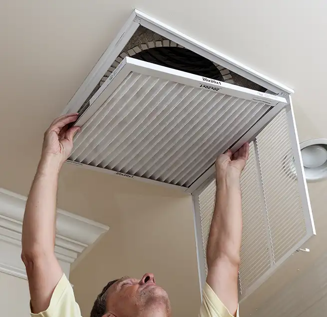 Why Homeowners & Businesses Trust Us in Kailua, HI?