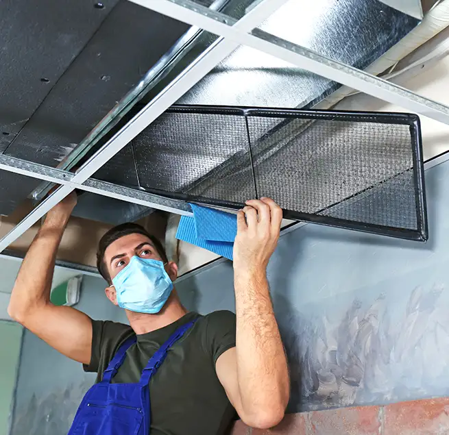 Why Homeowners & Businesses Trust Us in Kailua, HI?