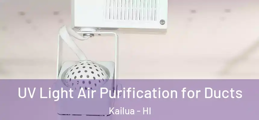  UV Light Air Purification for Ducts Kailua - HI