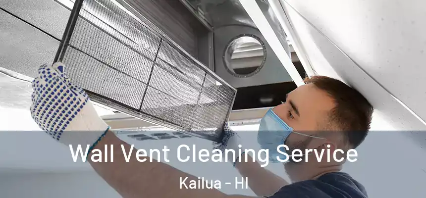  Wall Vent Cleaning Service Kailua - HI